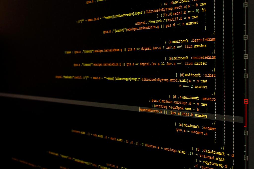 Developer integrating data API into business software